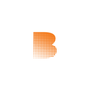 Image of Birk Manufacturing color logo