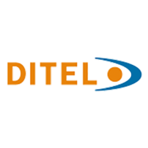 Image of DITEL color logo