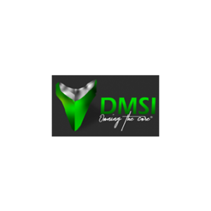 Image of DMSI International color logo