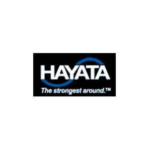 Image of Hayata color logo