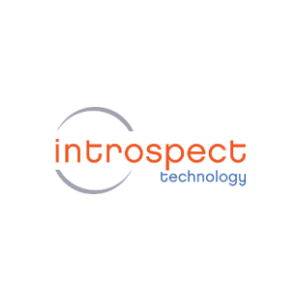 Image of Introspect Technology color logo