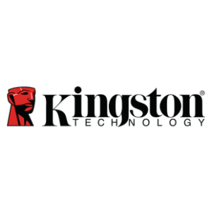 Image of Kingston color logo