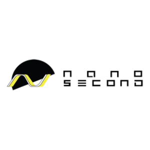 Image of Nanosecond color logo