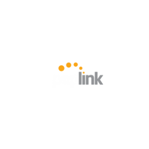 Image of Peplink color logo