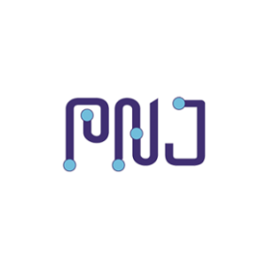 Image of PN Junction Semiconductor color logo