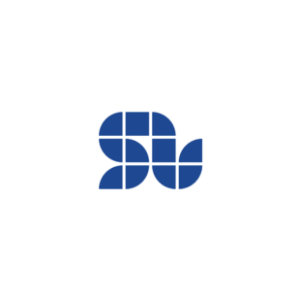 Image of SOLO Motor Controllers color logo