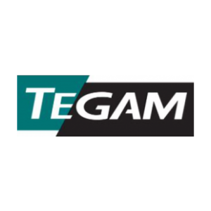 Image of Tegam color logo