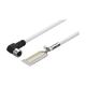 MIKROE-2871
