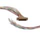 1001012 1001012