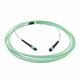 1001012 1001012