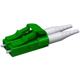 1001012 1001012