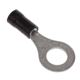1001012
