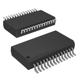 MIKROE-2871