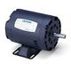 1001012