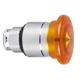 1001012