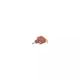 MIKROE-2871